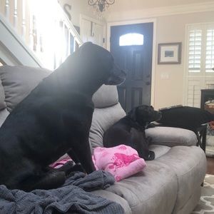 Meet your Posher, Christine